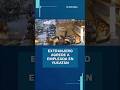 Extranjero Enloquece Agrede Y Amenaza A Empleada De Cafetería En Yucatán Shorts