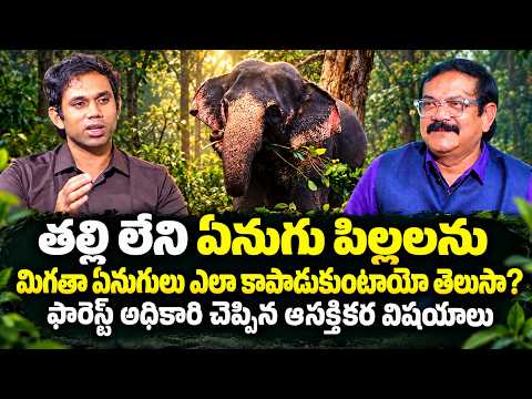 ఏనుగుల ప్రేమ వర్ణించలేనిది..| IFS Shivakumar Gangal Forest Officer Exclusive Interview | iDream