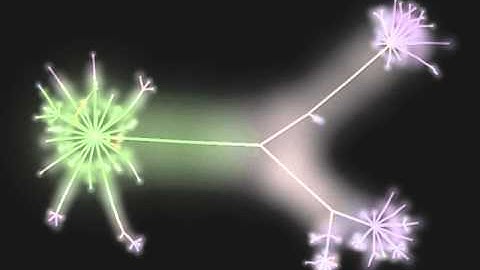 The face of OpenWebBeans