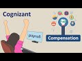 Cognizant Compensation of Internet Allowance | Salary Hike of Cognizant | StudyStool |