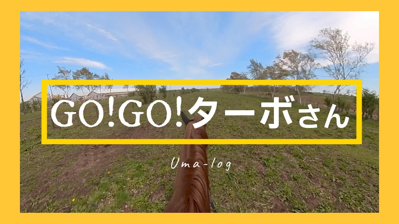 春のお散歩】元競走馬ターボさんのセカンドライフ 【Spring Walk