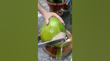 Trái dừa xiêm xanh siêu to tươi ngon mát ngọt.  #lùnvlog #coconut #coconutcutting #shorts