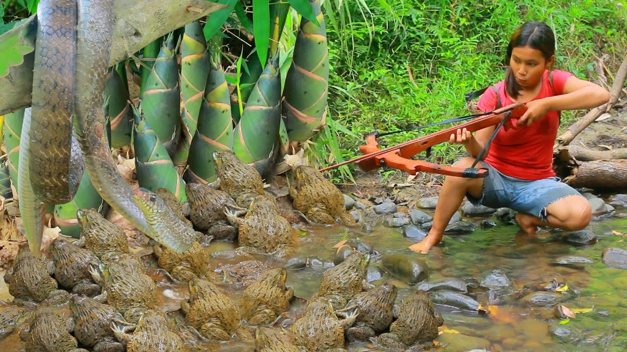 survival in the rainforest - Found Frog and Bamboo shoot at river - Fried frog eating delicious HD