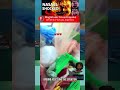 Powerful 7 4 Earthquake Hits Argentina Powerful 7 4 Earthquake Hits Argentina