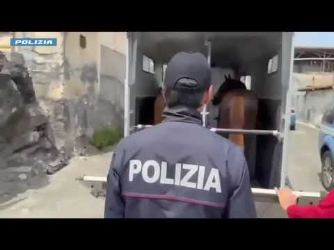 Video Catania, arrestato con kalashnikov durante corsa clandestina di cavalli