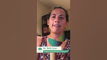 The HARDEST Thing for Scientists: Taking Breaks | SciAll.org