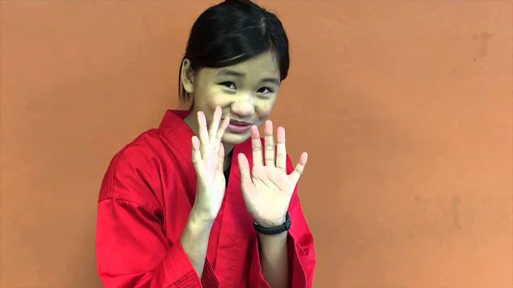 How To Stop A Bully (Martial Arts Lessons For Life)