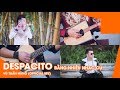 Despacito bằng nhiều nhạc cụ | Vũ Tuấn Hùng (Official MV)