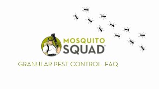 What Does Granular Pest Control Look Like | Is Granular Pest Control Better Than Other Treatments