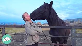 Scared Horse Doesn’t Trust Anyone But This Girl Melts His Heart | Cuddle Buddies