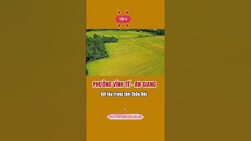 19 công lúa Phường Vĩnh Tế làm 03 vụ giá tốt #ivantung #bandatlua #datluagiare #xuhuong