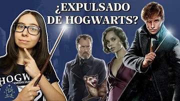 ¿Por qué echaron a Newt de Hogwarts?