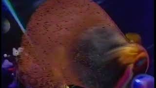 The Jim Henson Hour Neutron Dance Muppet Songs