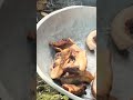3152026 #food #yummy #foodie #foodshorts #highlights #shorts #youtubeshorts #shortvideo #youtube