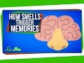 How Smells Trigger Memories