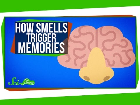 How Smells Trigger Memories