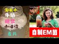 【EM菌bokashi 堆肥2⃣️3⃣️】3⃣️分钟学会用淘米水自制EM菌原液。The Simplest way to make EM ( effective macrogasms)