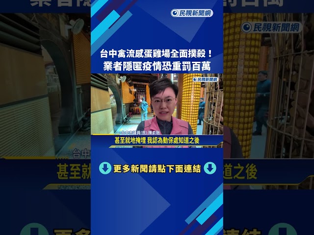 台中禽流感蛋雞場全面撲殺! 業者隱匿疫情恐重罰百萬－民視新聞