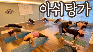 [엔젤요가] 아쉬탕가 수련