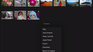 RAW Power 3 for iPadOS: Batch Processing