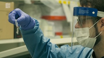 Optimizing SHERLOCK for field use