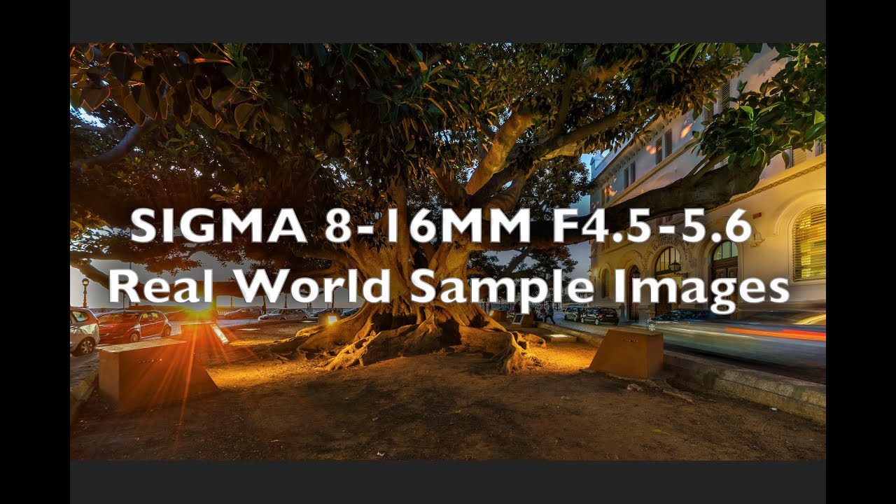 Sigma 8 16mm F4 5 5 6 Dc Real World Sample Images Sony A6000 Youtube