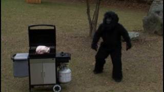 Terrifying Thanksgiving Day Bigfoot Video