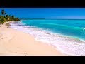 Waves on saona island  relaxing beach sounds of the caribbean sea for study meditation and sleep