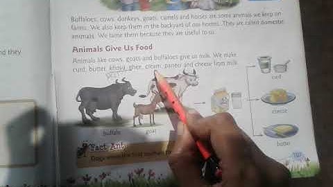 Animals are useful,chapter19,std 2nd.