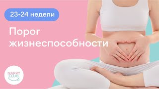 картинка: 23-24 недели. Порог жизнеспособности.