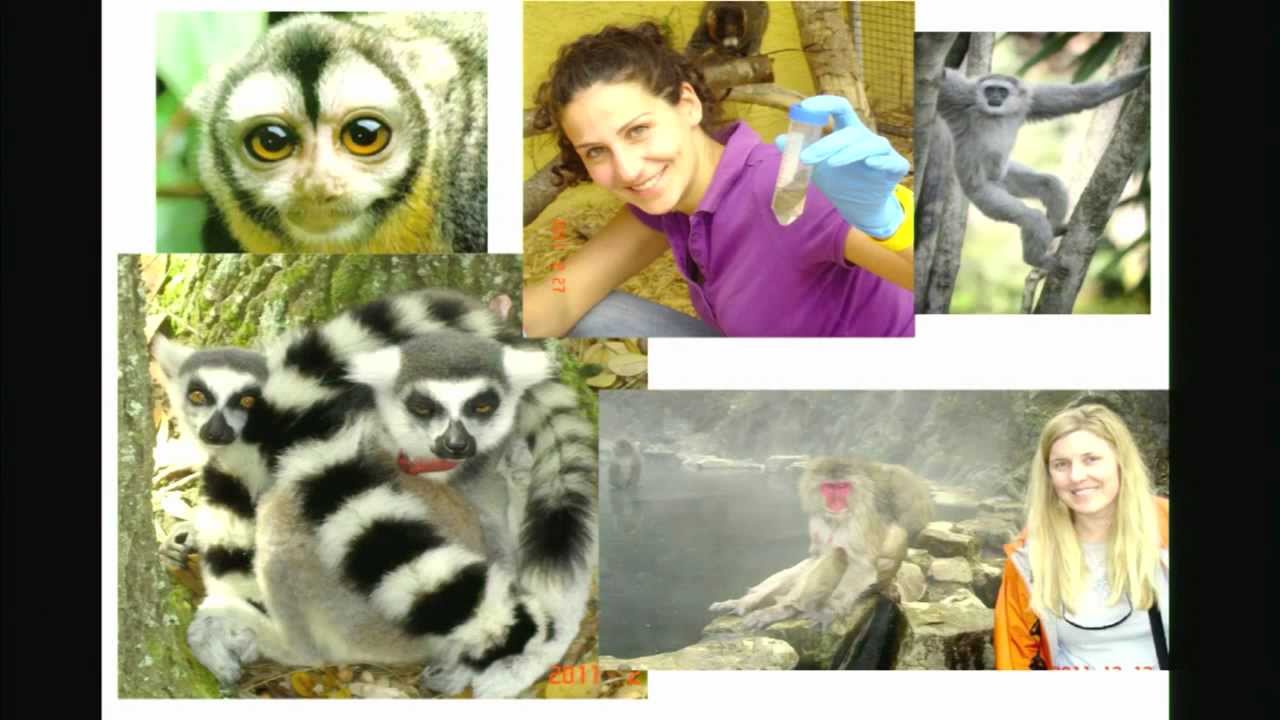 Species Barriers - What Keeps Animal Viruses from Infecting Humans?