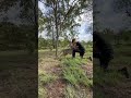 Photographer gets up close with cheetah