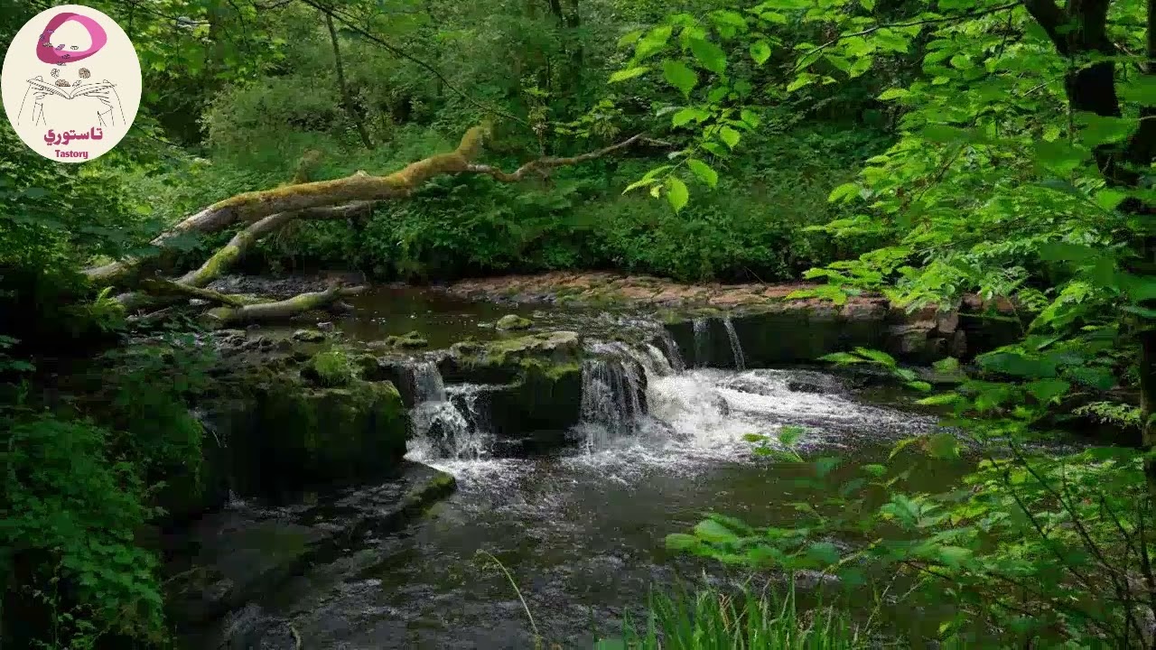 قصة طفلة العار (كاملة) 🥀 حصريا على تاستوري