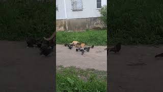 #будни