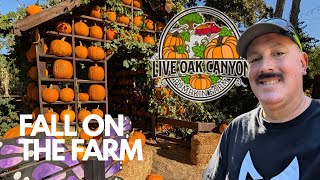 Live Oak Canyon Pumpkin Farm | Largest in Southern California | Full Tour 2026