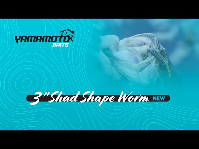 New 2022 3 Shad Shape Worm 