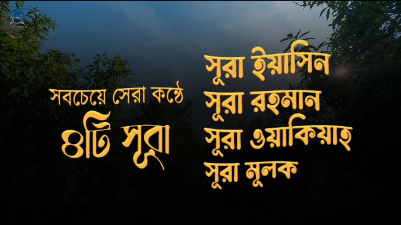 সূরা আর রহমান, সূরা ইয়াসিন, সূরা ওয়াকিয়া, সূরা মুলক - Best Quran Recitation by Zain Abu Kautsar