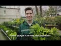 The Best Organic Gardening Practices for a Healthier Garden
