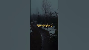 تلاوه هادئة من القران الكريم سورة النساء الشيخ علي جابر " يريد الذين يتبعون الشهوات أن تميلوا " 😴😴