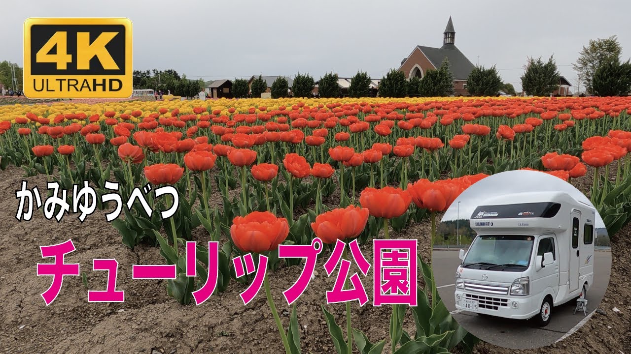 4k動画 かみゆうべつ チューリップ公園 Youtube