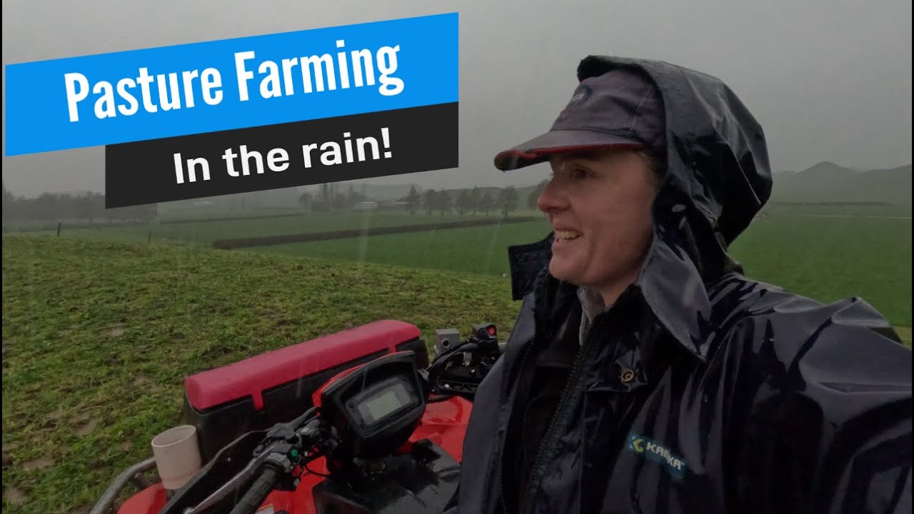Taking care of pasture in very wet weather