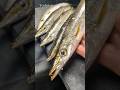 ⚠️35秒でわかる‼️【カマス〜捌き方〜】丁寧に愛を持って捌くことは美味しさに比例する#japan #shorts #howto