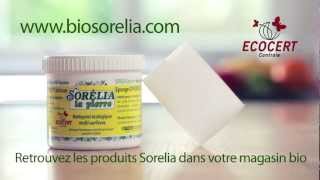 Pierre d'argile 550 g Sorélia