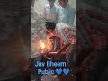 Jay Bheem bhaiyo💙👑👑