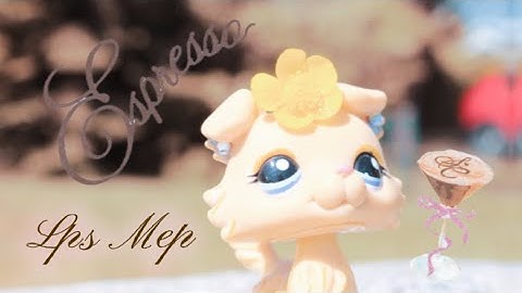 Lps Mep - Espresso (Sabrina Carpenter) | closed | 6/18 | open for spares!! 