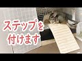 【チンチラ】足に優しいステップをつけました