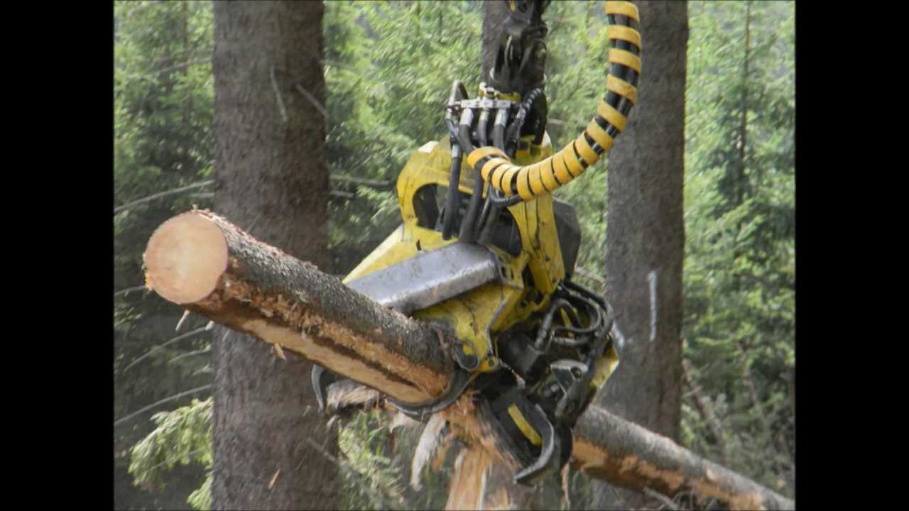 Timberjack 1270 Harvesters 1080p - YouTube