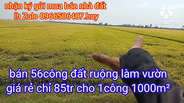 bán 56.công đất ruộng làm vườn giá rẻ tại huyện Tân Hưng Long an giá 85tr cho 1công 1000m²