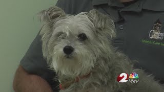 Clear the Shelters: Greene County Animal Control