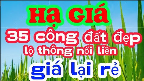 (số 137) CHỦ NGỘP BÁN GẤP / 35 CÔNG,GIÁ RẺ.TẠI TÂN LẬP MỘC HÓA